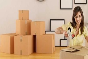Packers and Movers Image-1